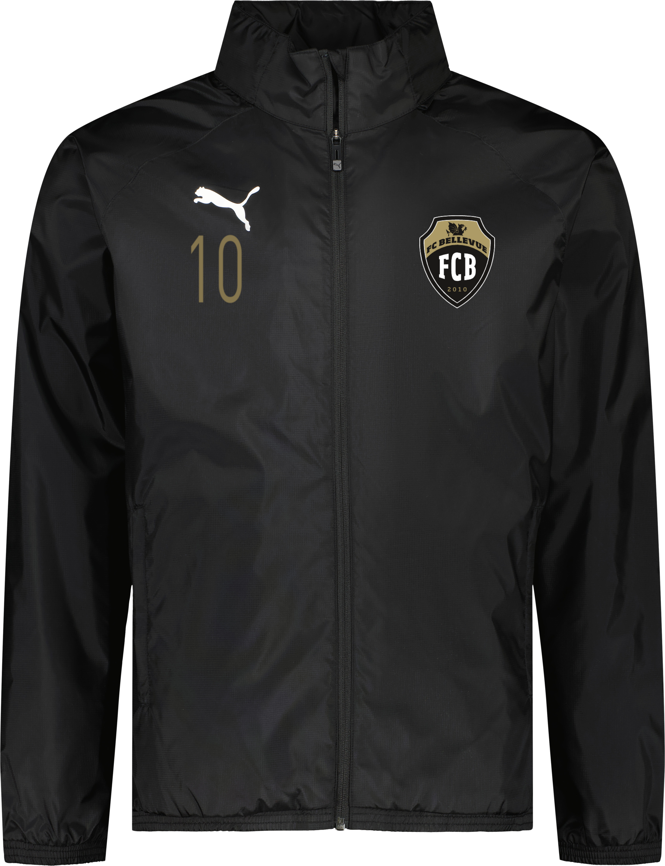 Puma teamGOAL All Weather Jacket Jr 