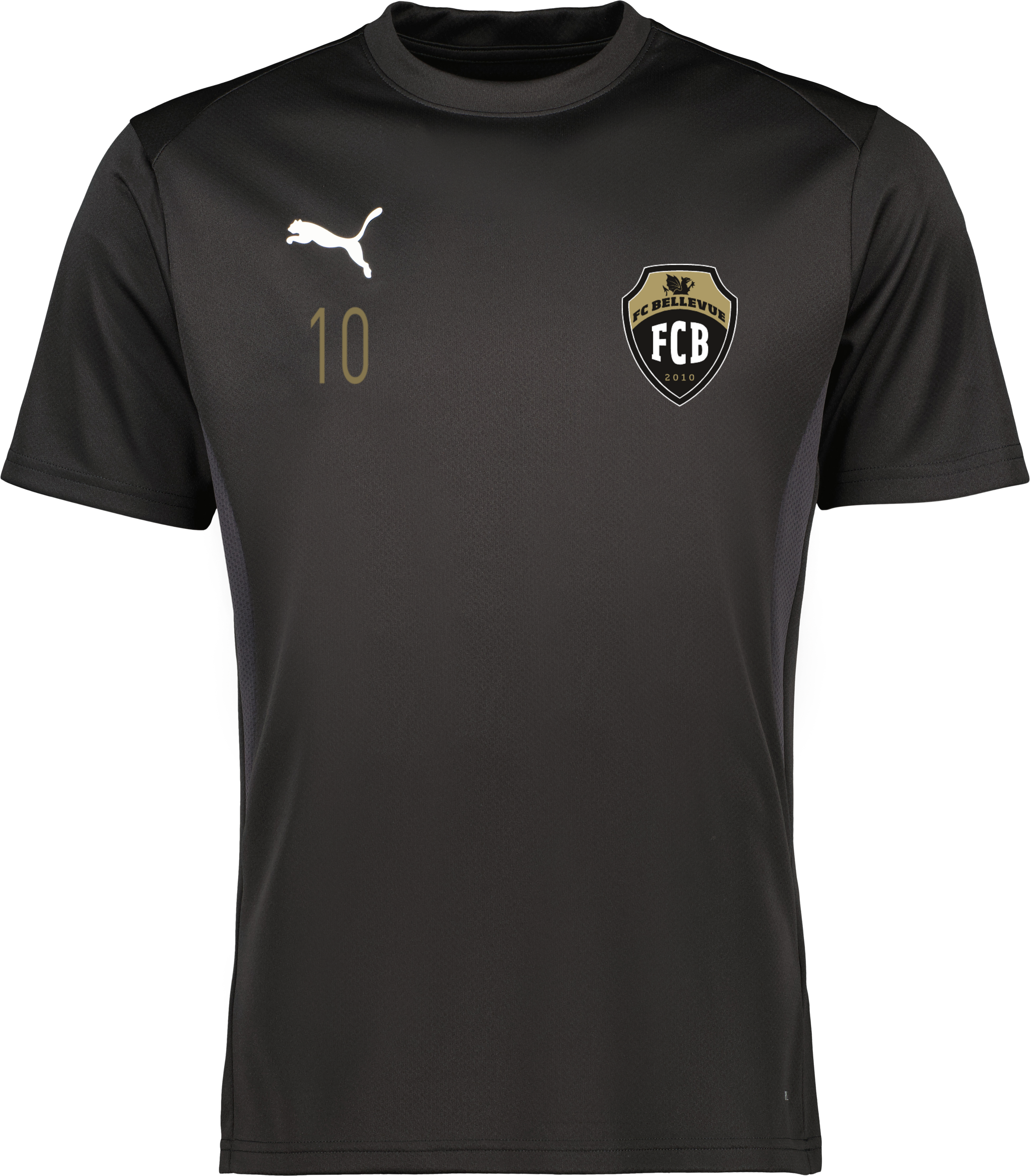 Puma teamGOAL Jersey 