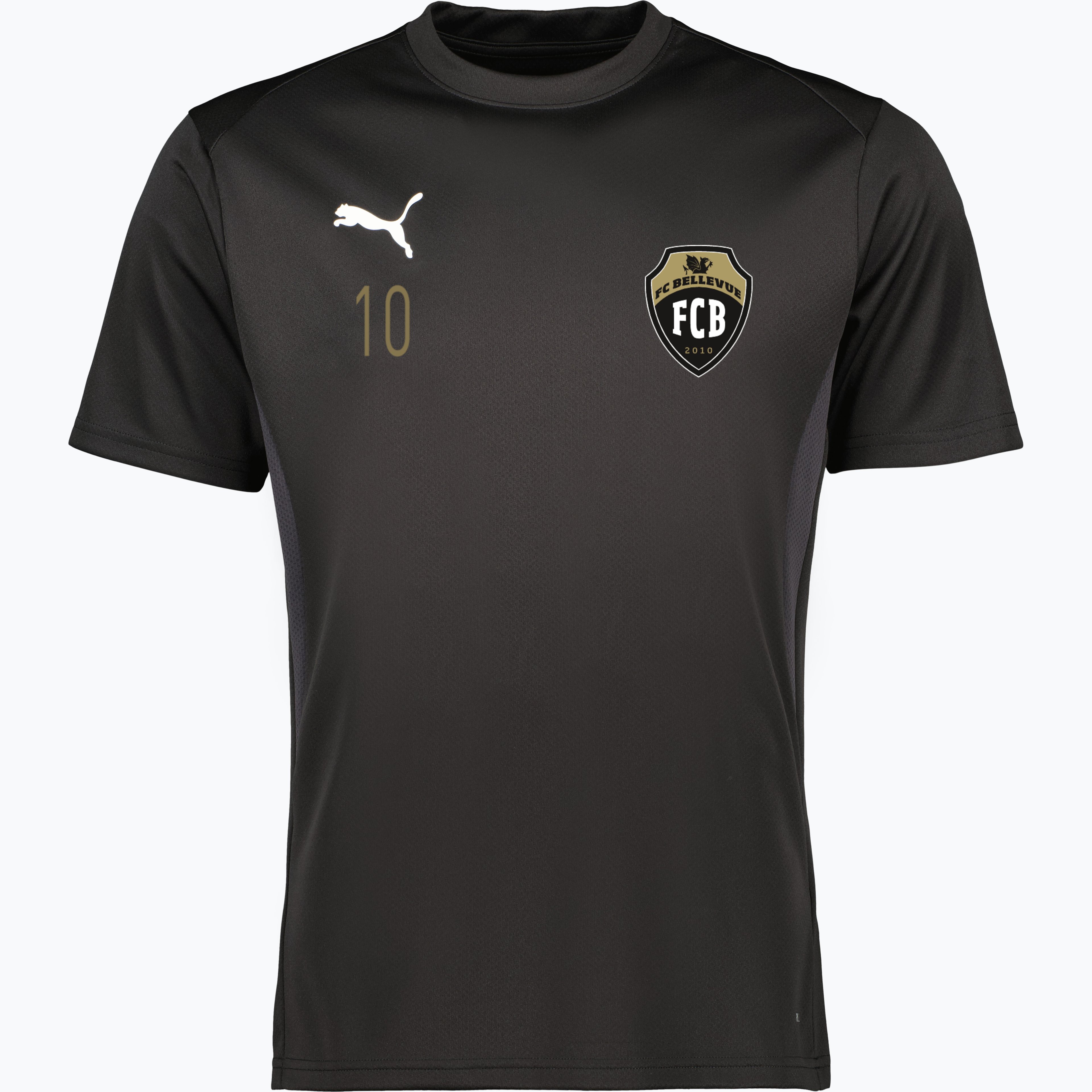 teamGOAL Jersey 