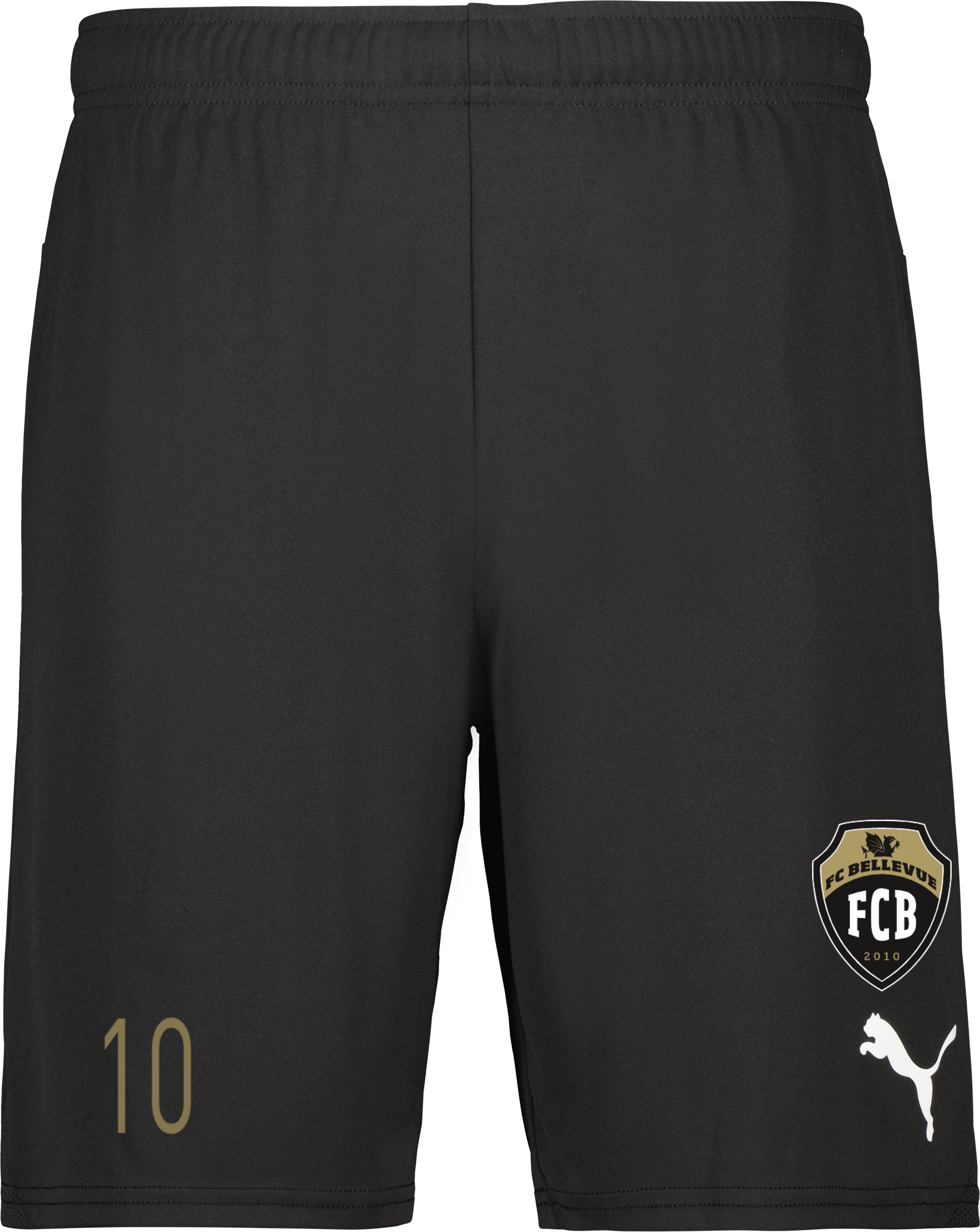 Puma teamGOAL Shorts Jr 