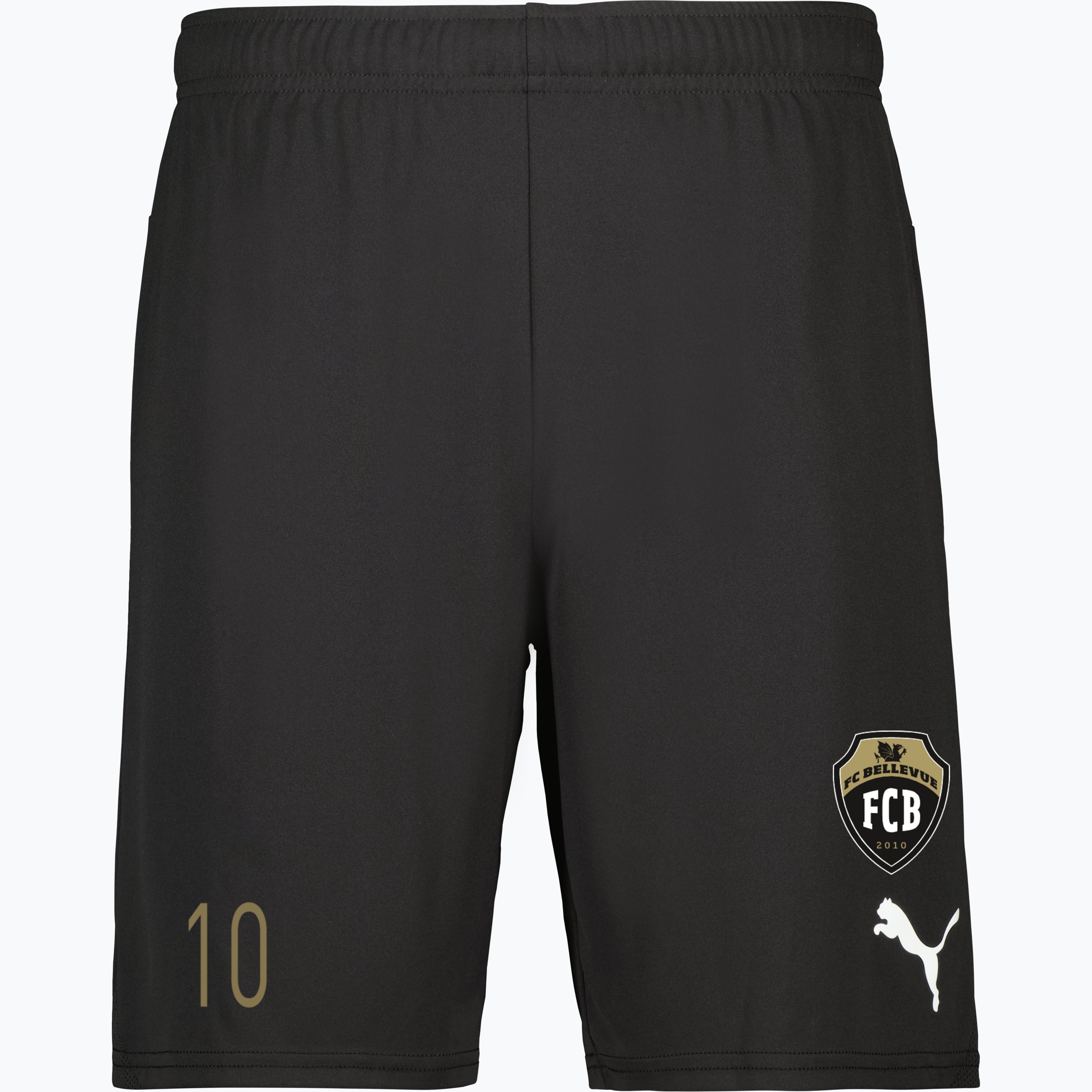 teamGOAL Shorts 