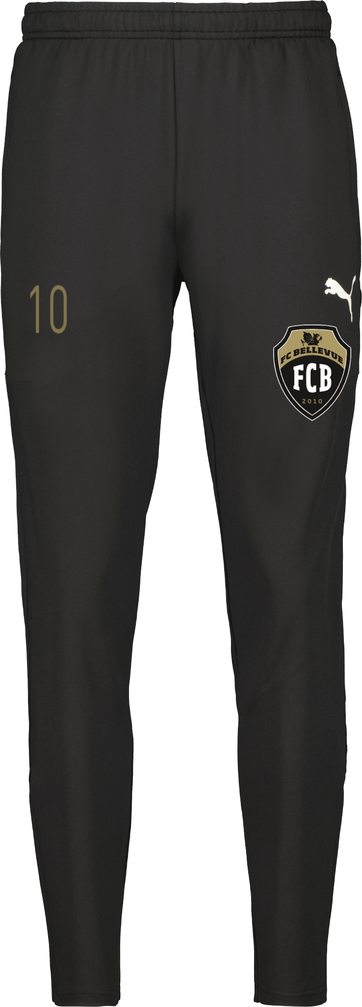 Puma teamGOAL PRO Training Pants Jr 