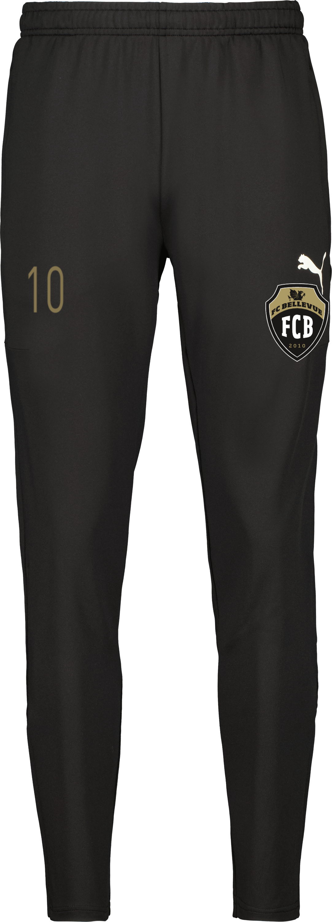 Puma teamGOAL PRO Training Pants 