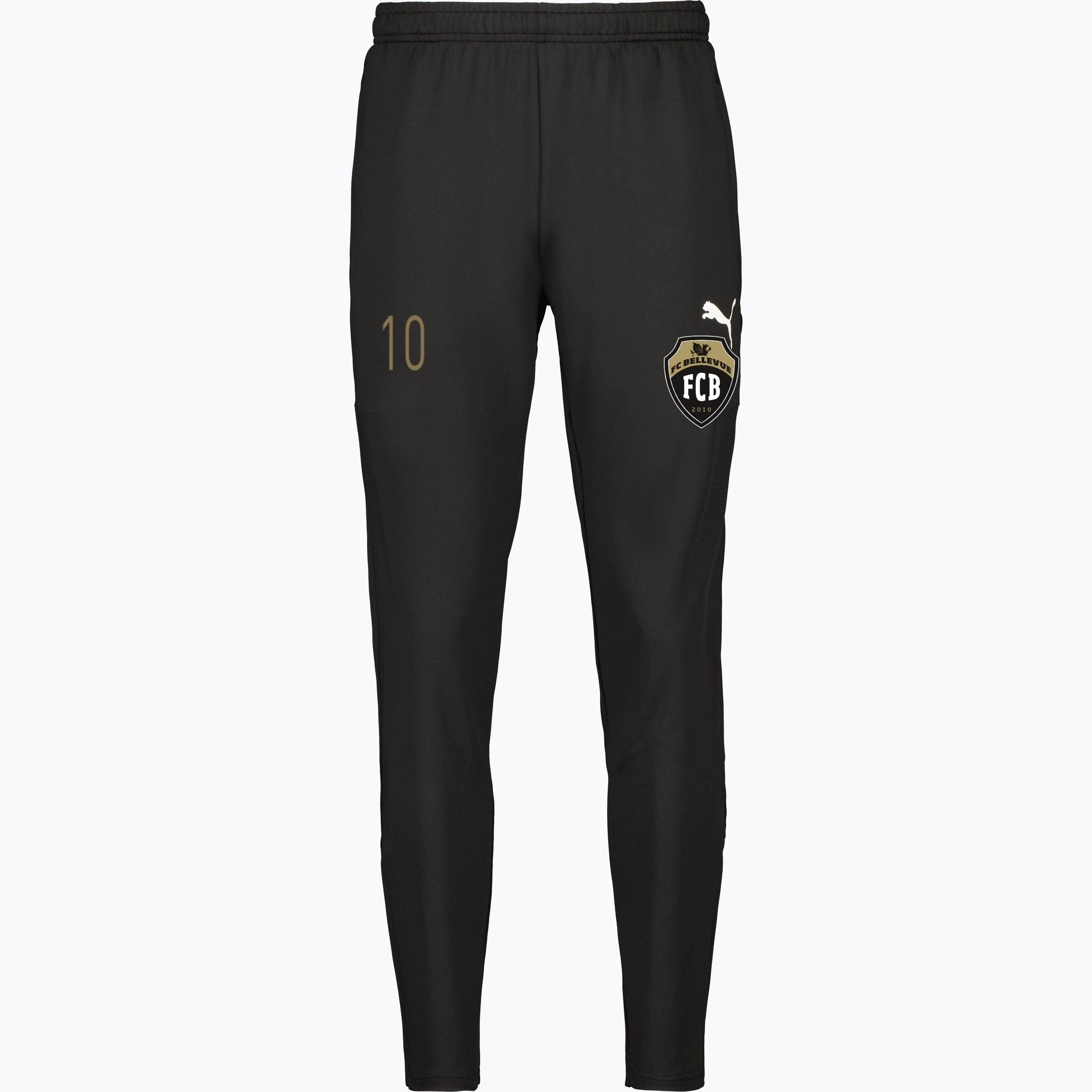 teamGOAL PRO Training Pants 