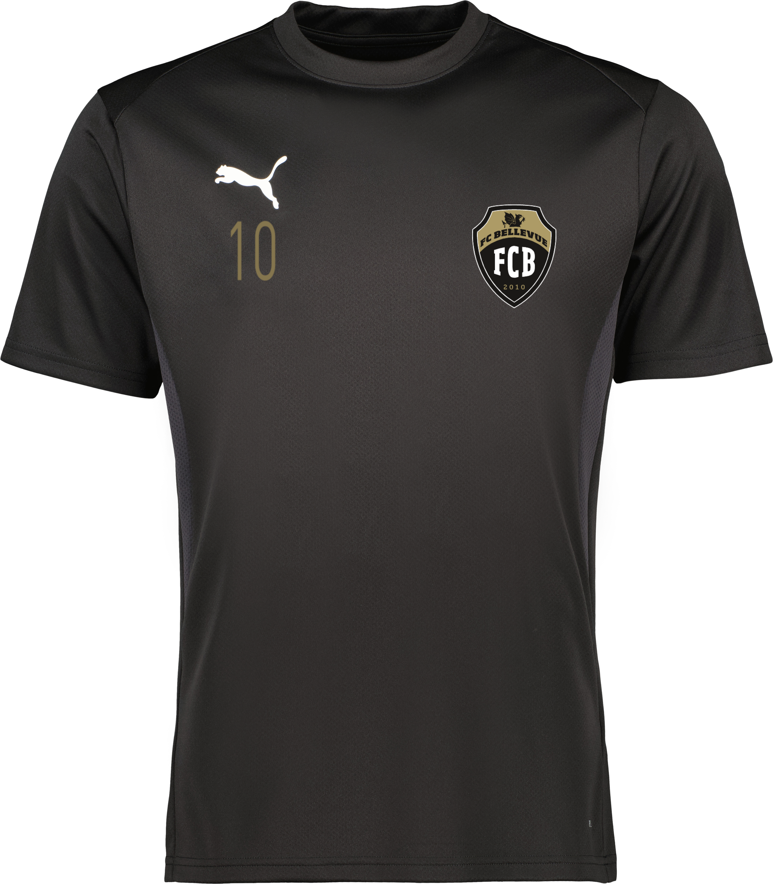 Puma teamGOAL Jersey Jr 