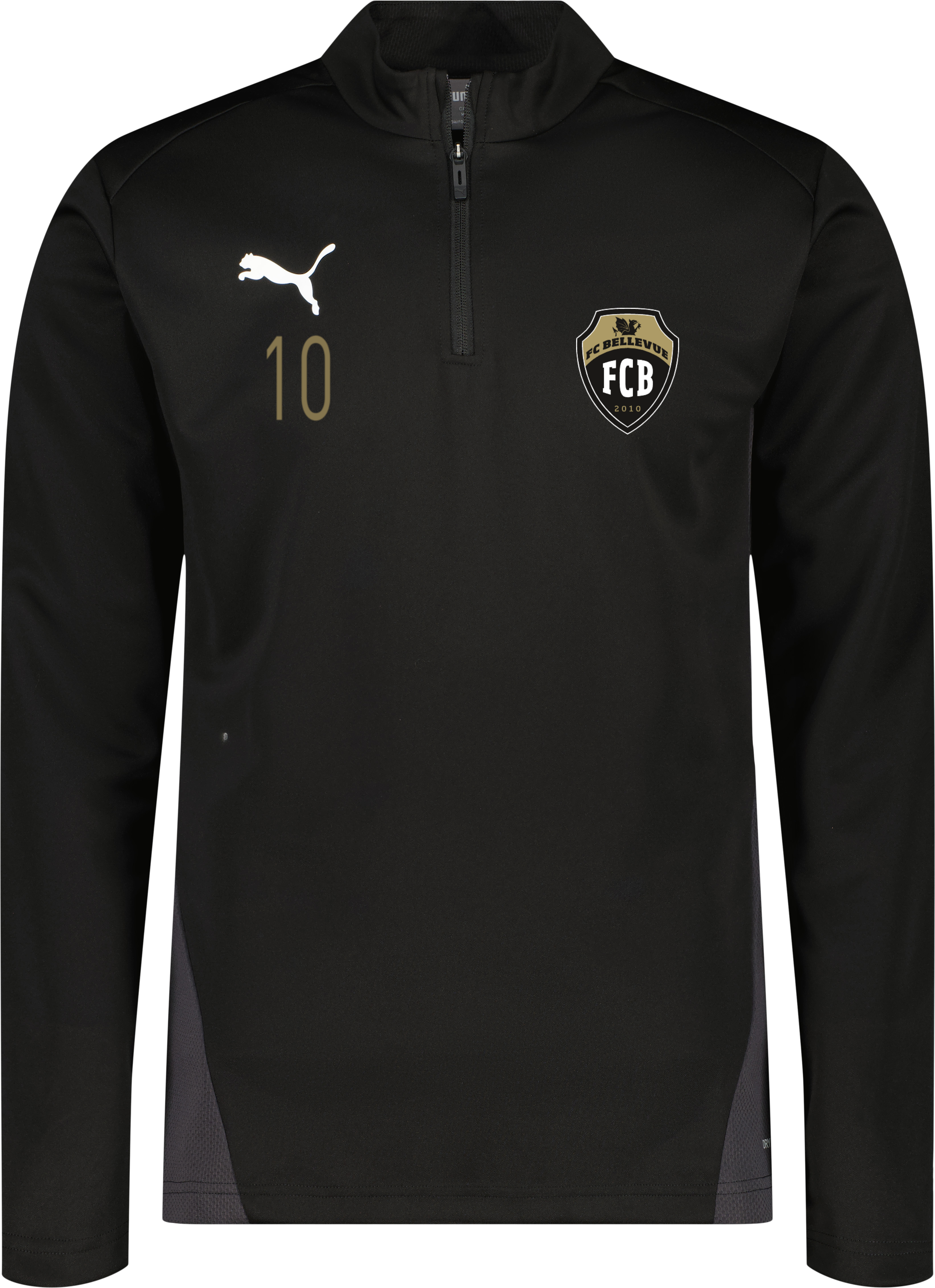 Puma teamGOAL Training 1/4 Zip Träningströja 