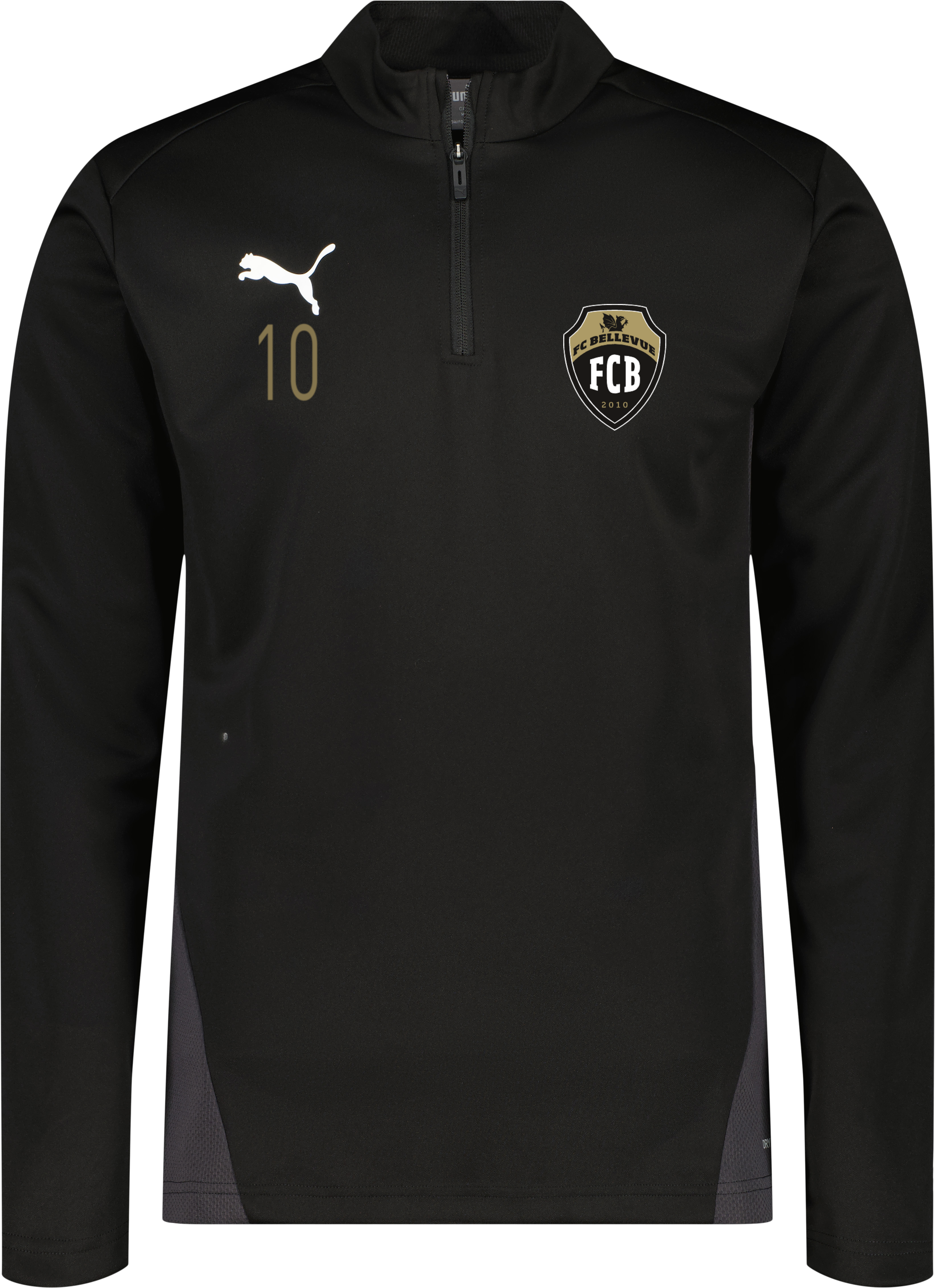 Puma teamGOAL Training 1/4 Zip Träningströja Jr 