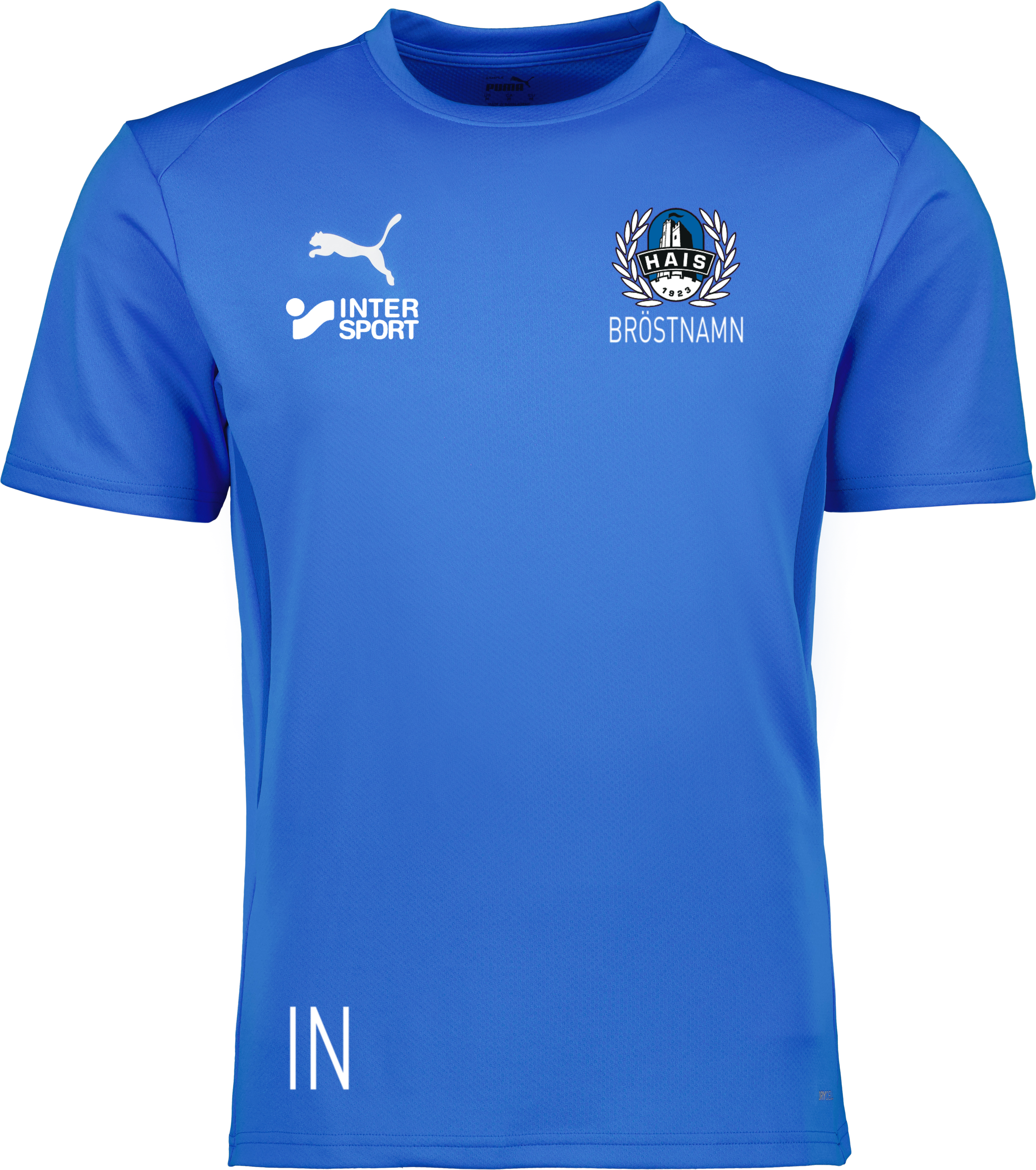 Puma teamGOAL Jersey 