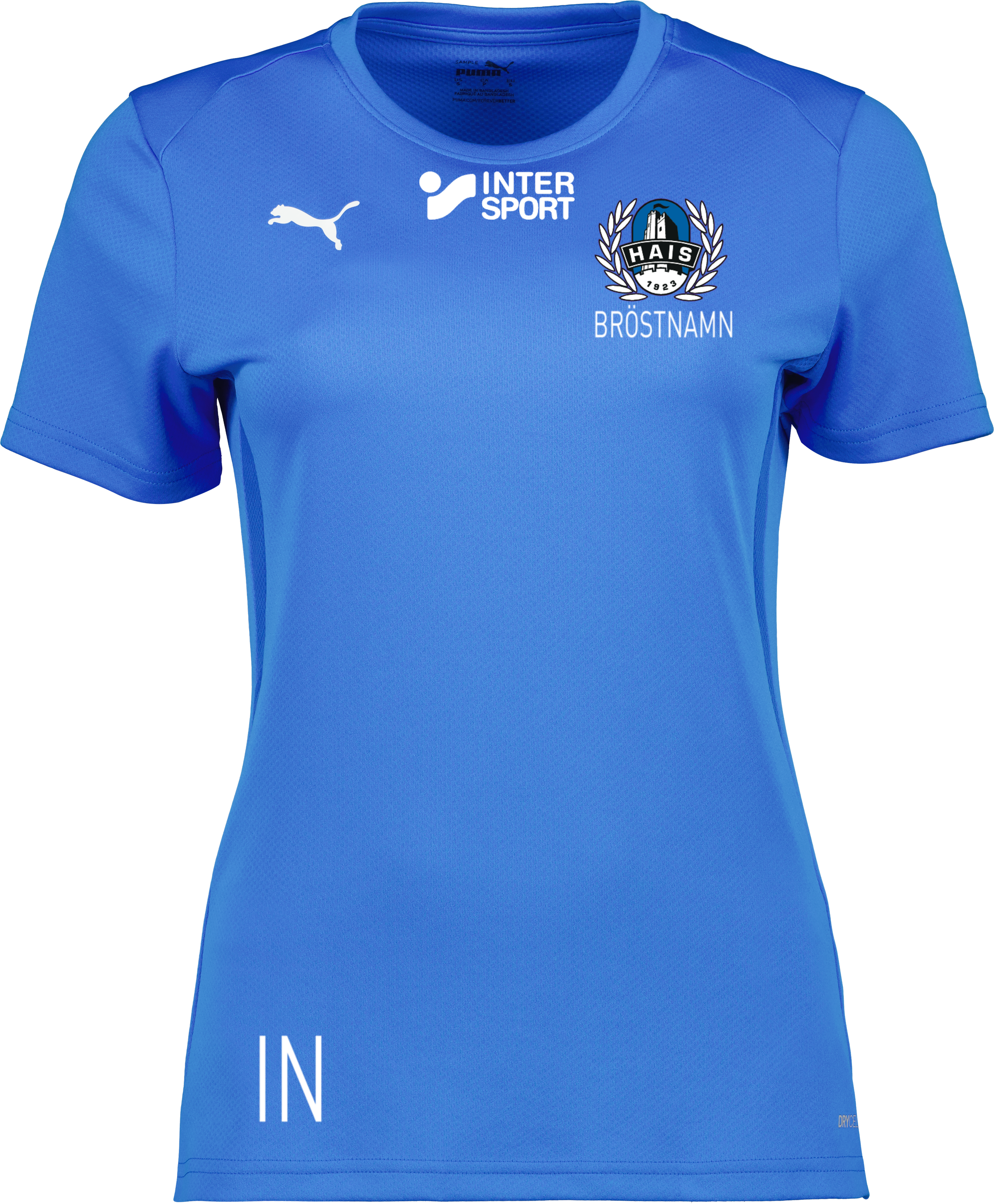 Puma teamGOAL Jersey W 