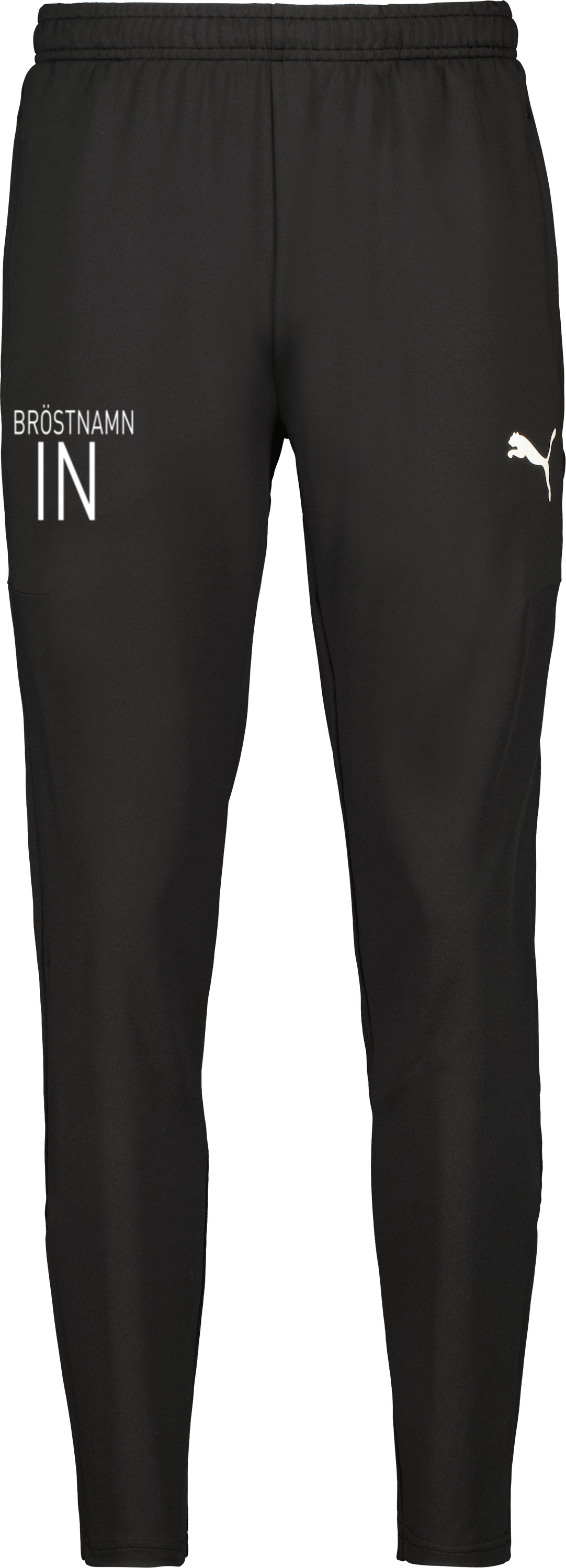 Puma teamGOAL PRO Training Pants 