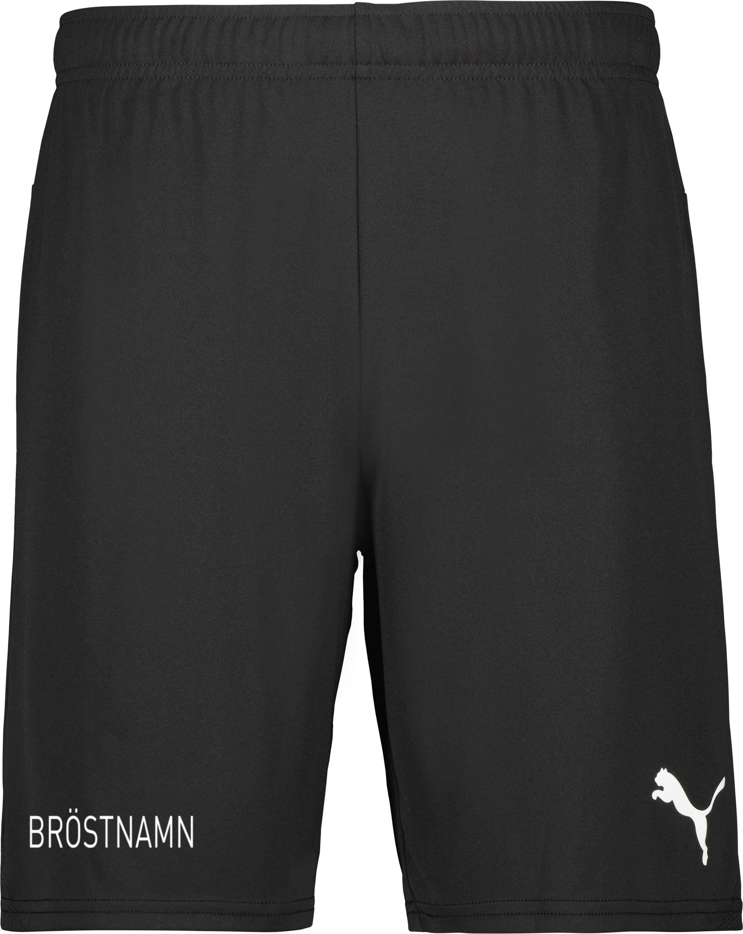 Puma teamGOAL Shorts 