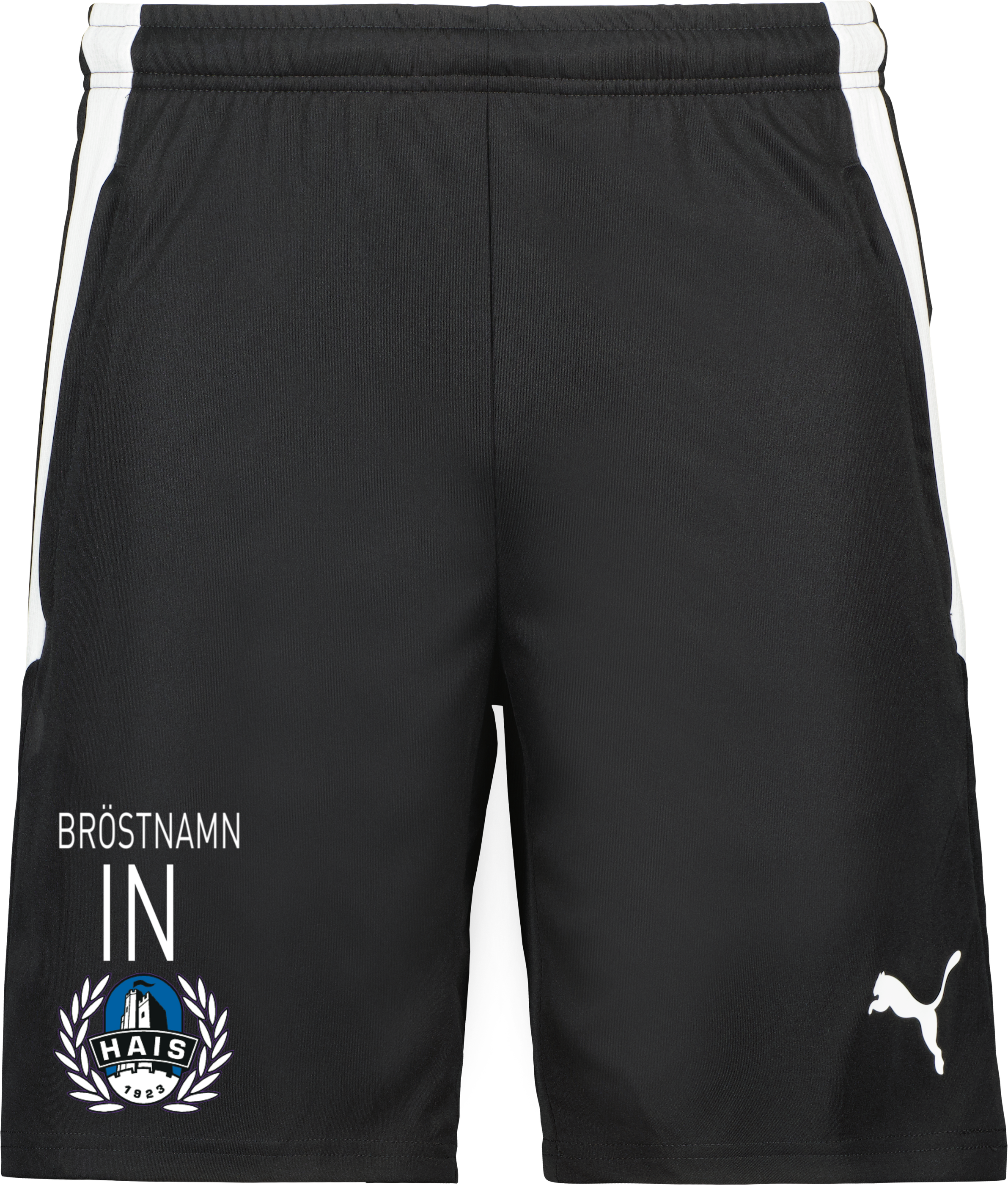 Puma TeamLIGA träningsshorts