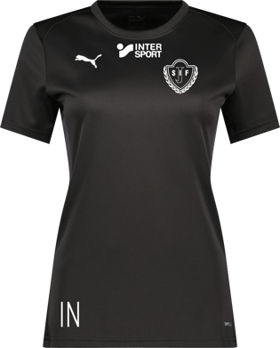 Puma teamGOAL Jersey W 