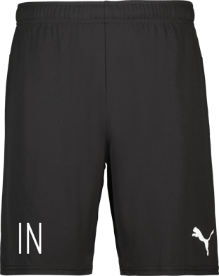 Puma teamGOAL Shorts 