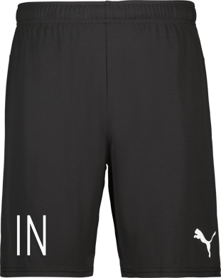 Puma teamGOAL Shorts Jr 