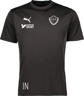 Puma teamGOAL Jersey 