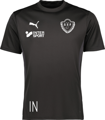 Puma teamGOAL Jersey Jr 