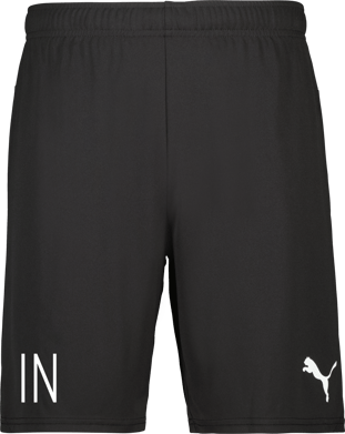 Puma teamGOAL Shorts 