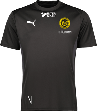 Puma teamGOAL Jersey 