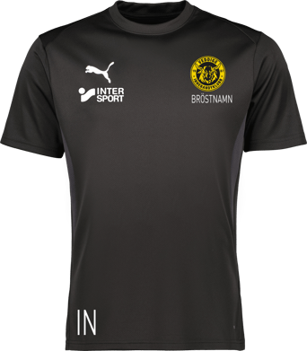 Puma teamGOAL Jersey 