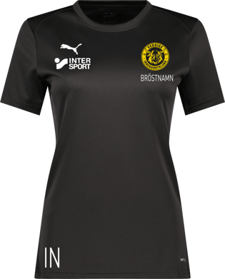 Puma teamGOAL Jersey W 