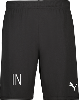 Puma teamGOAL Shorts 