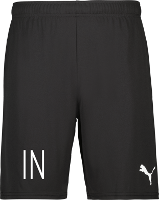 Puma teamGOAL Shorts Jr 