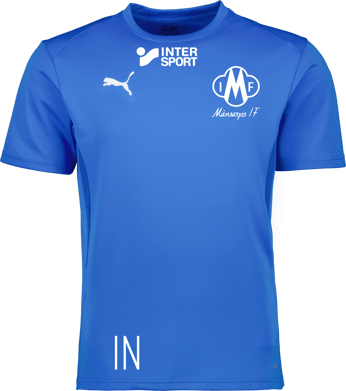 Puma teamGOAL Jersey Jr 