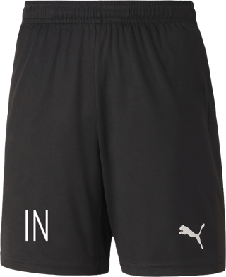 Puma TeamGoal 23 knit shorts Sr