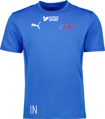 Puma teamGOAL Jersey 