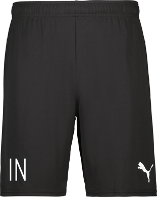 Puma teamGOAL Shorts 