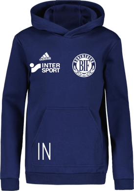 adidas Entrada22 Jr Hoody