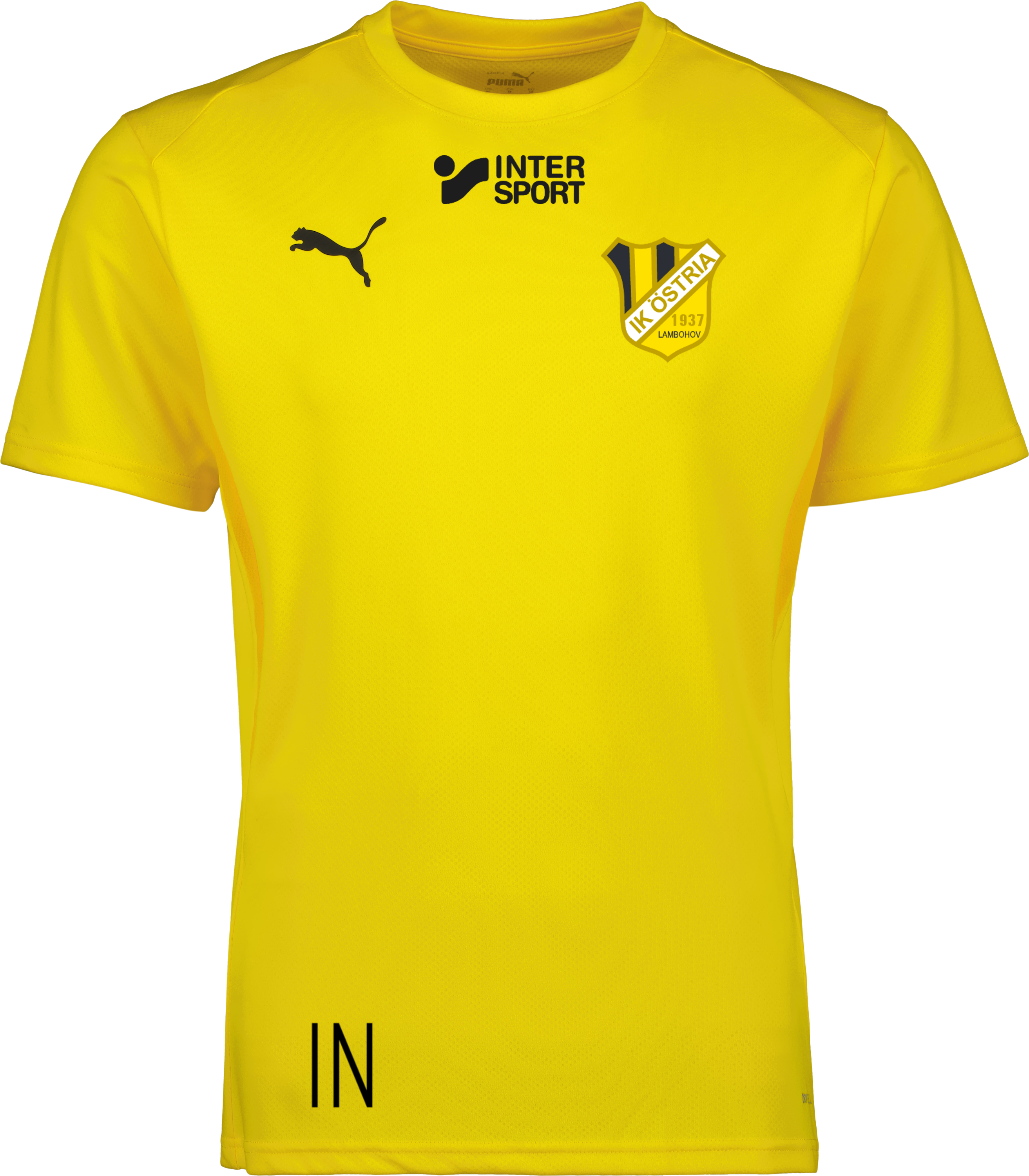 Puma teamGOAL Jersey 