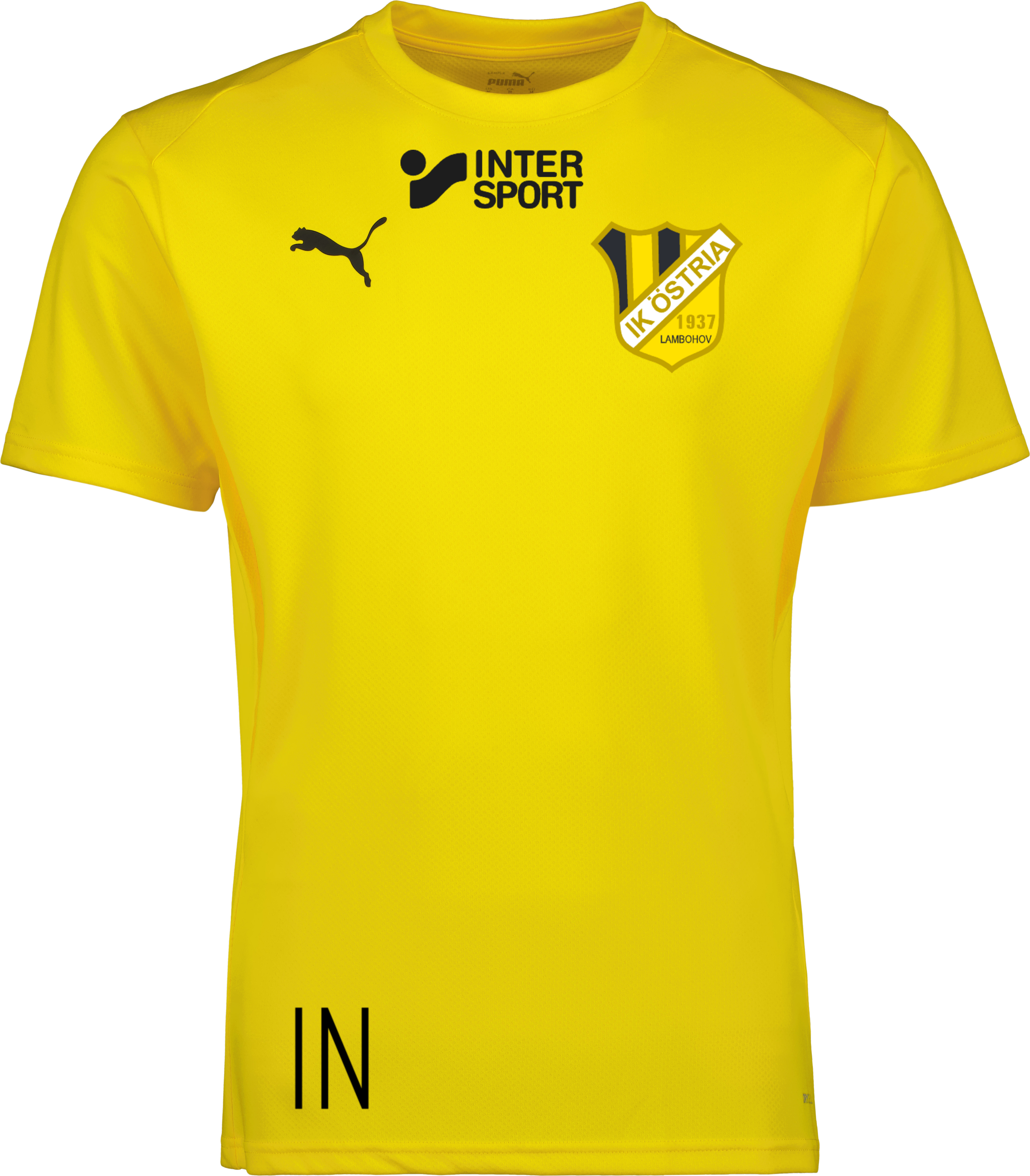 Puma teamGOAL Jersey Jr 