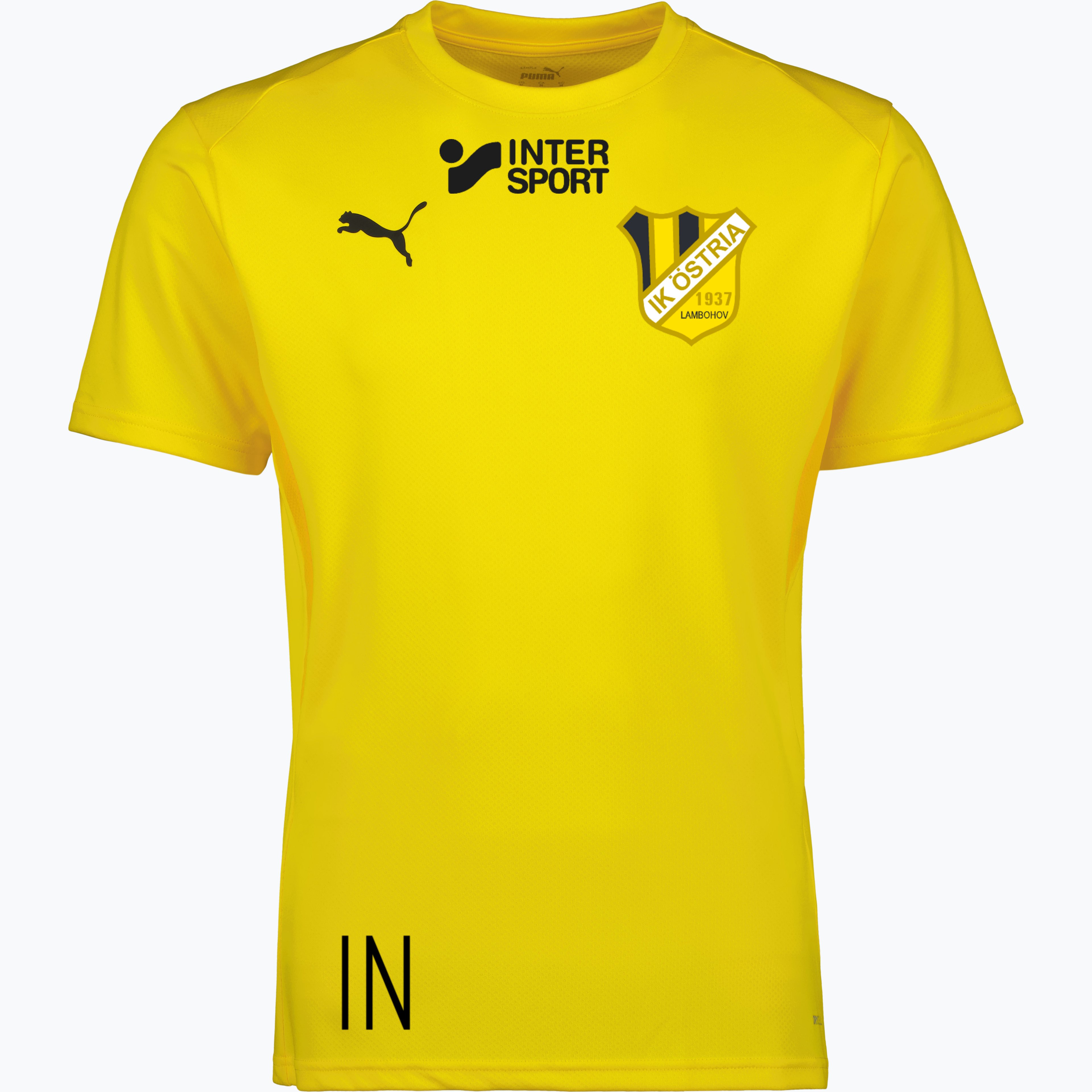 teamGOAL Jersey Jr 