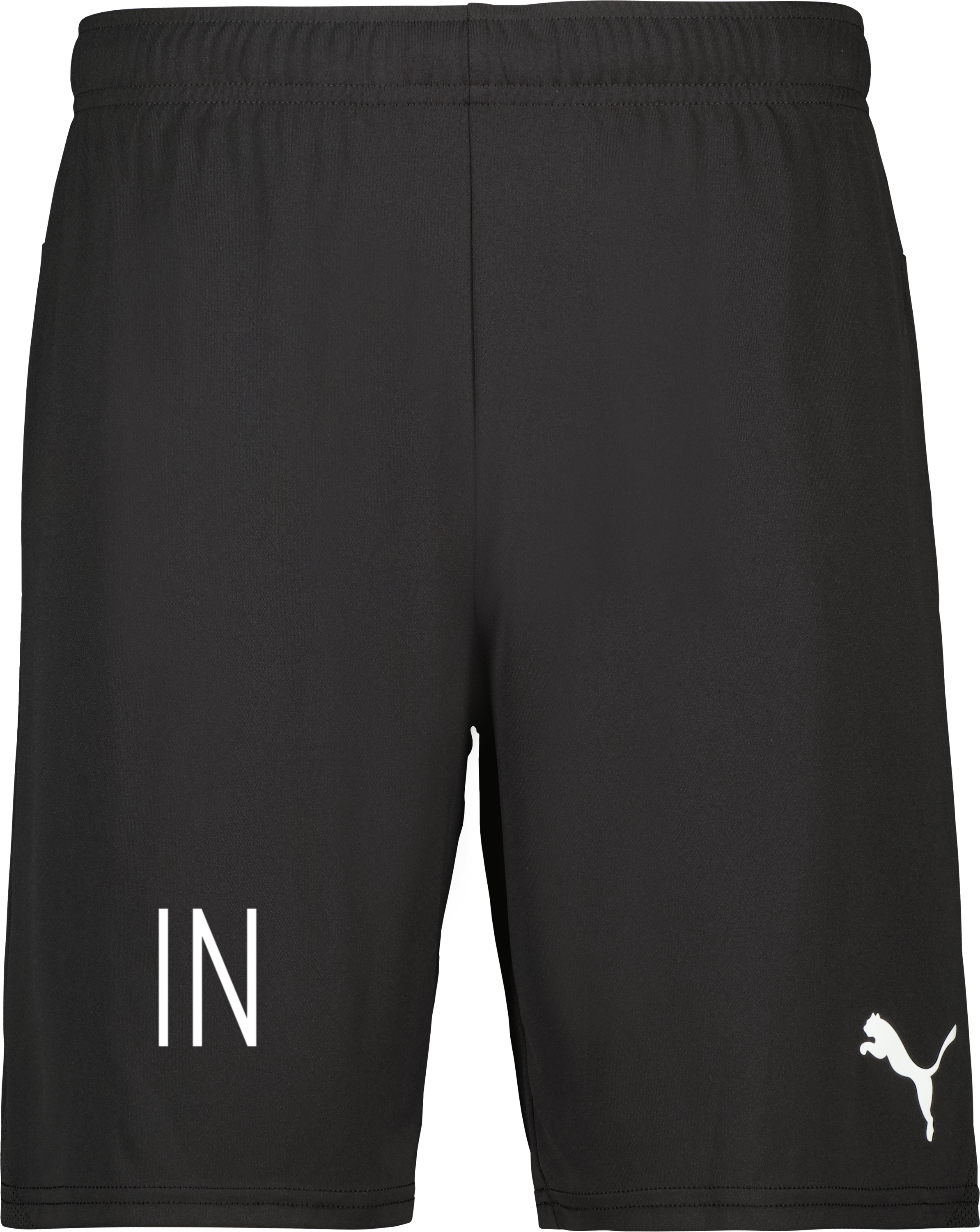 Puma teamGOAL Shorts 