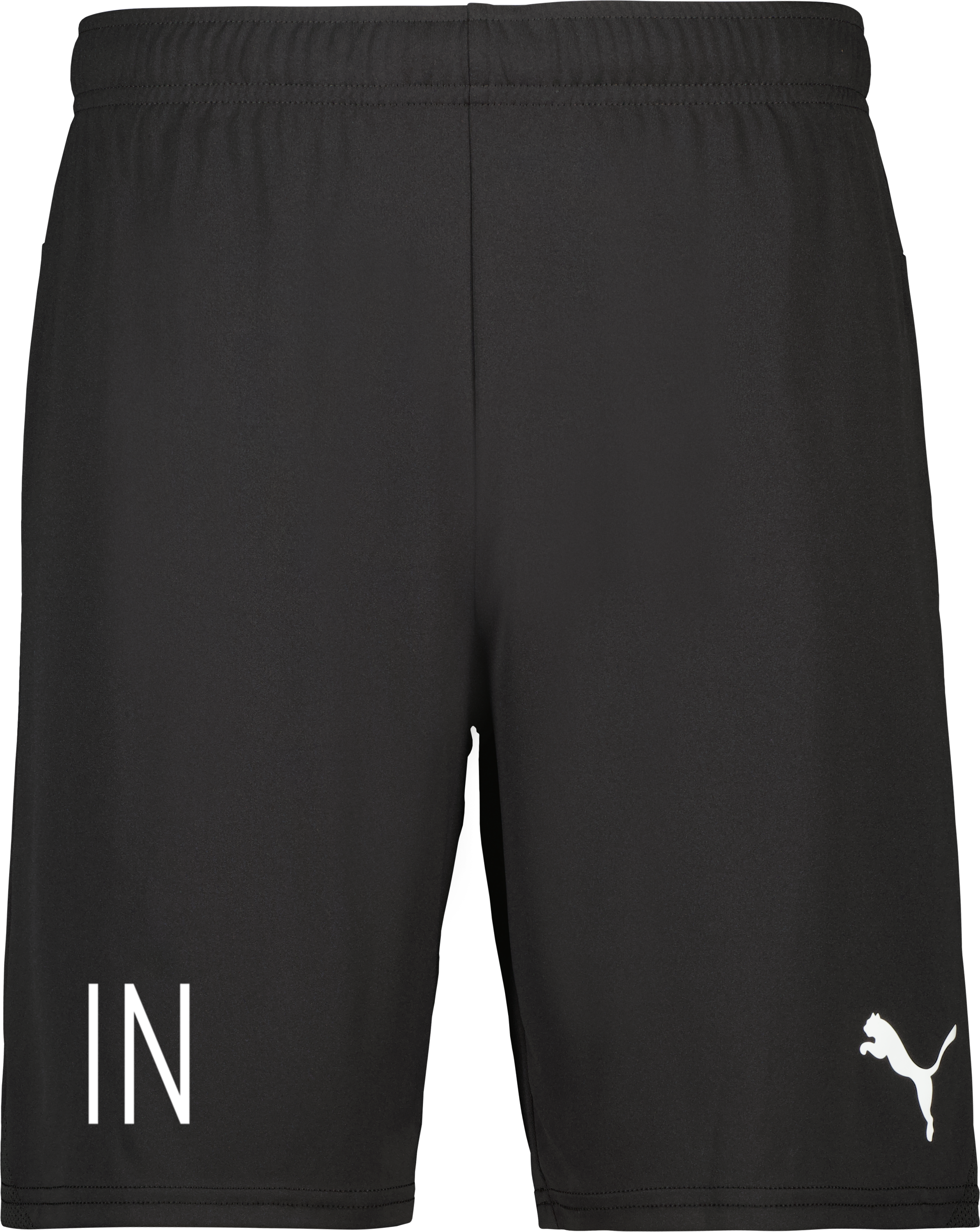 Puma teamGOAL Shorts Jr 