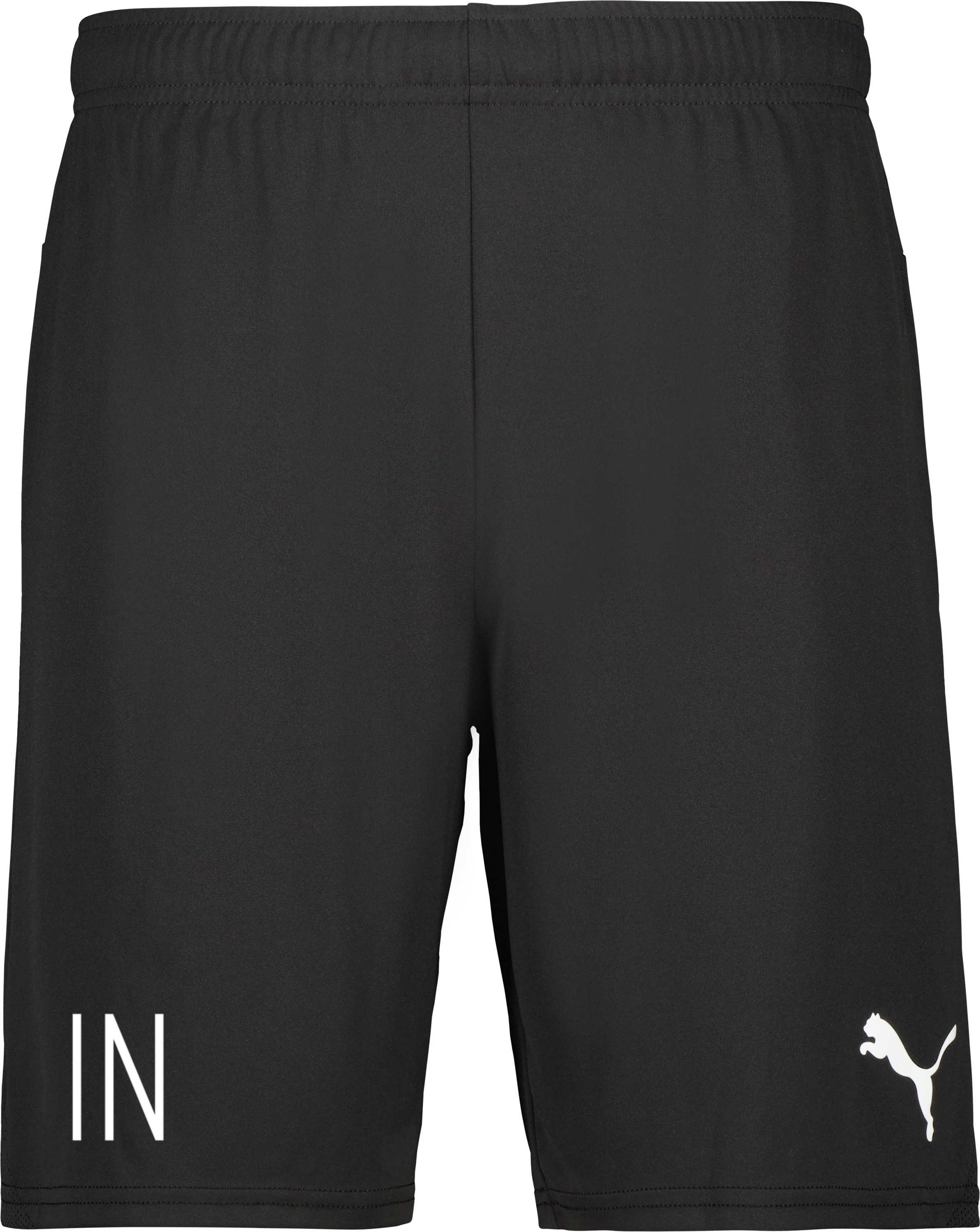 Puma teamGOAL Shorts 