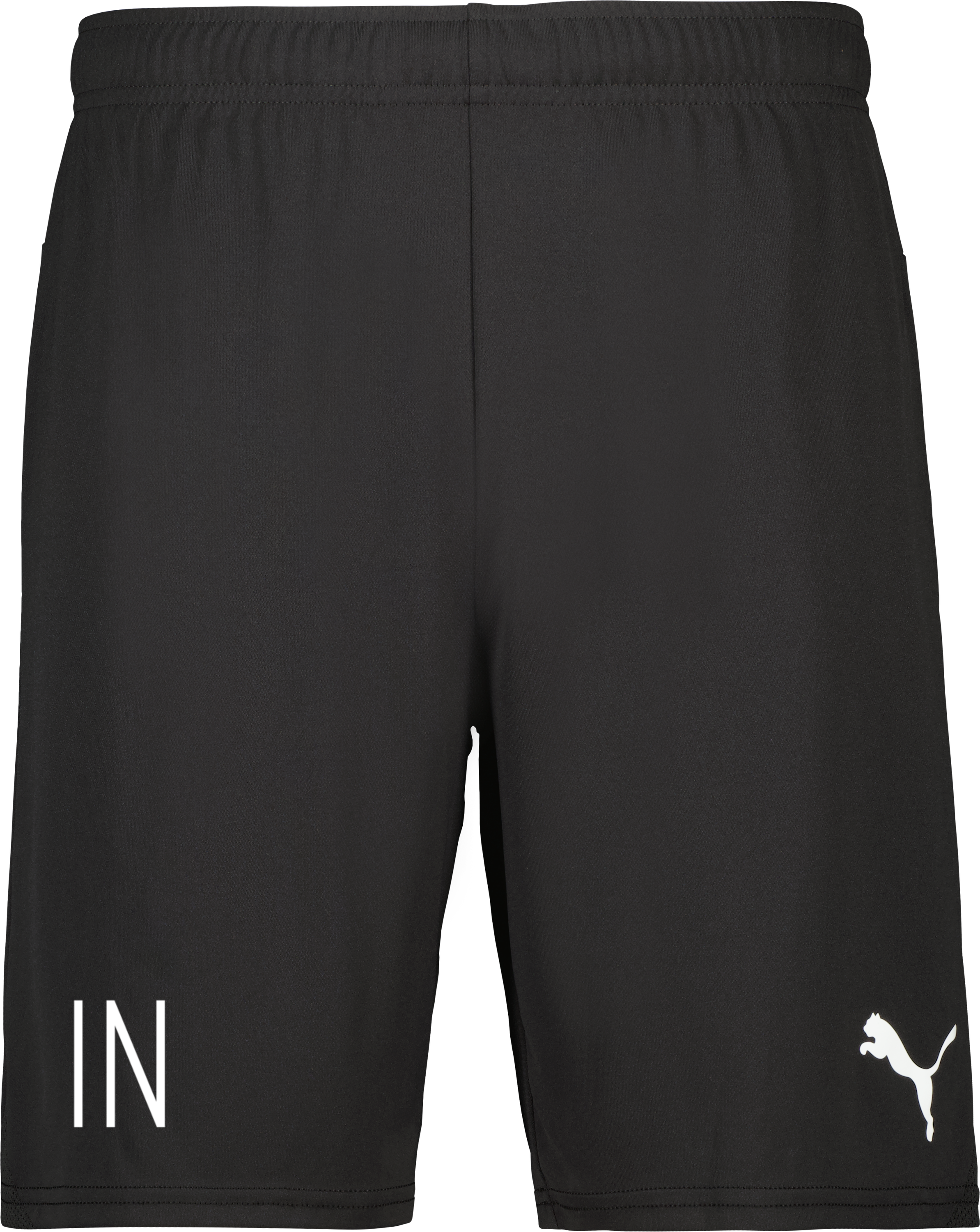 Puma teamGOAL Shorts Jr 