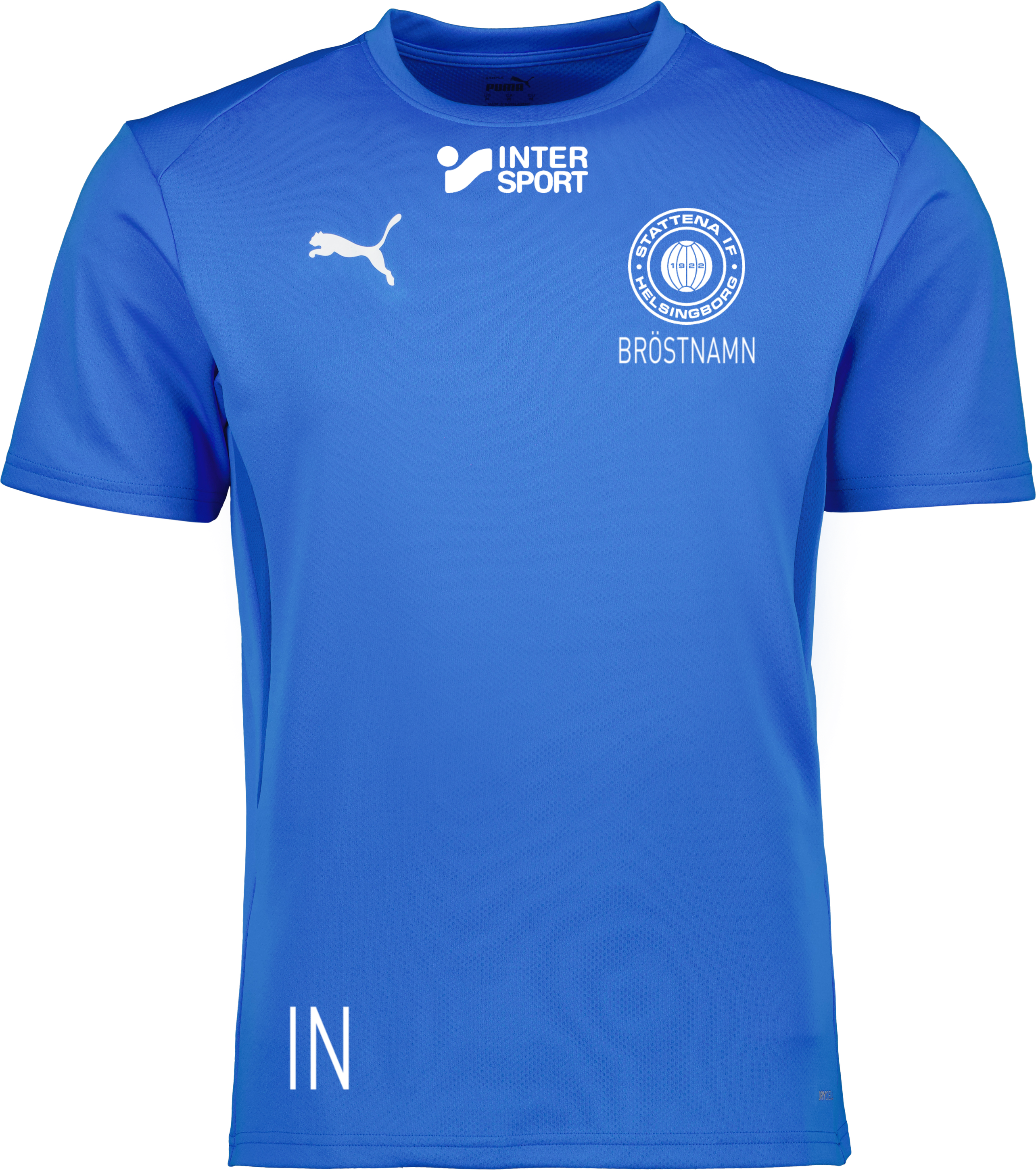 Puma teamGOAL Jersey 