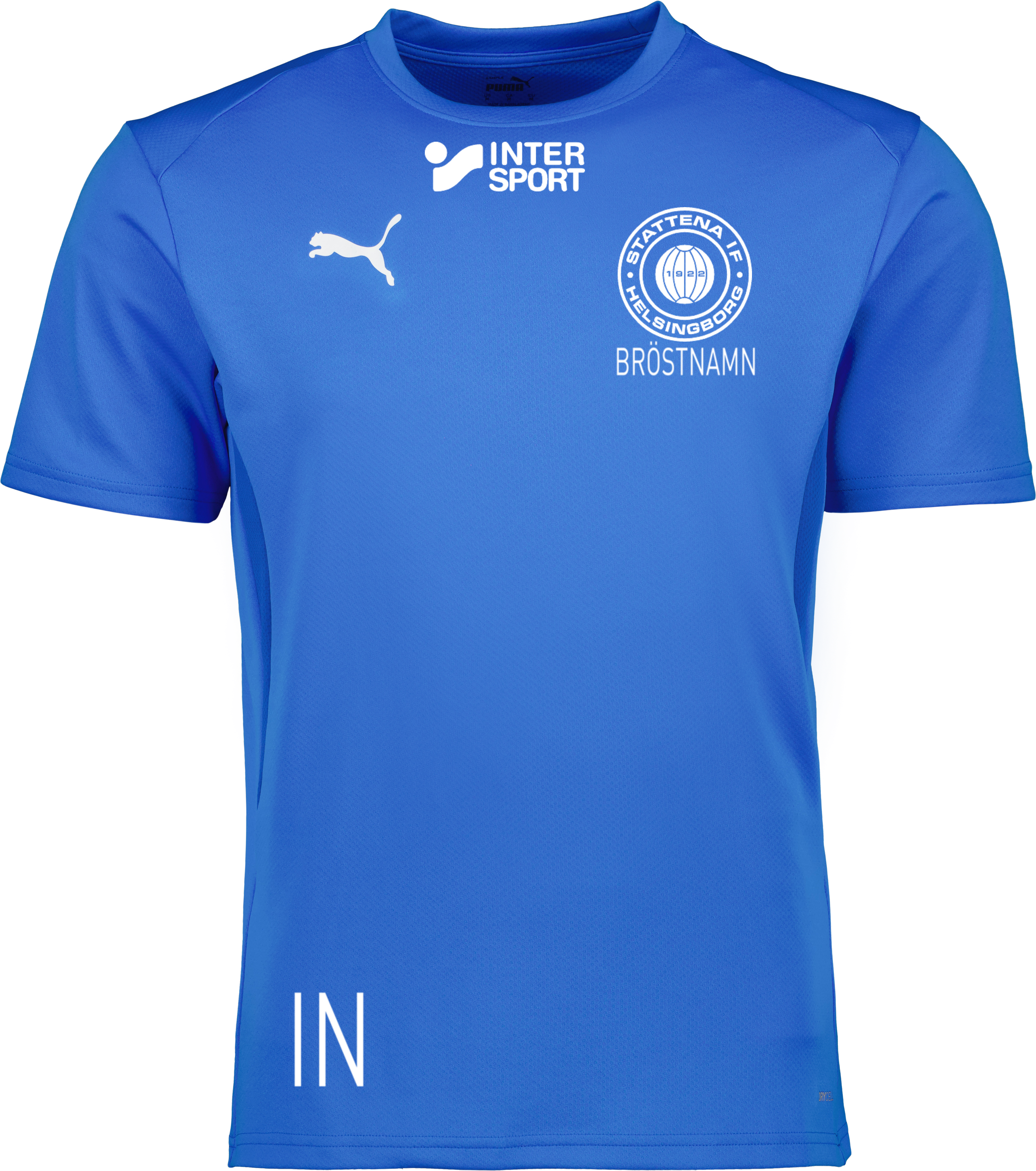 Puma teamGOAL Jersey Jr 