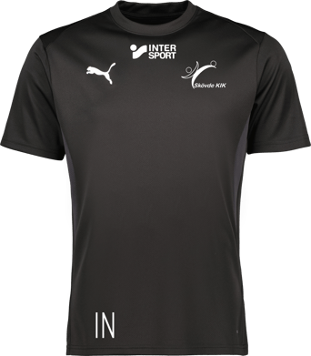 Puma teamGOAL Jersey 