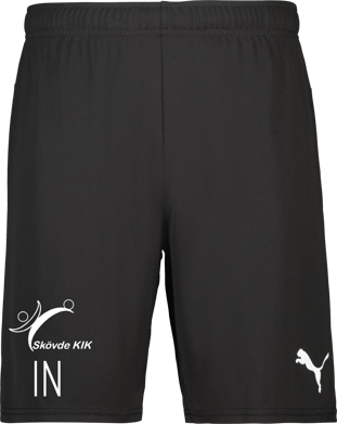 Puma teamGOAL Shorts 