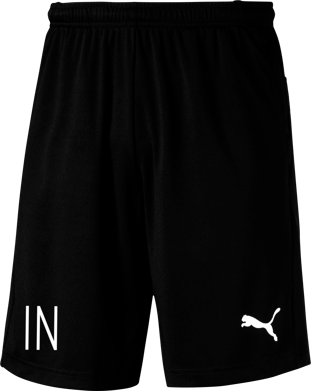 Puma LIGA Training Shorts