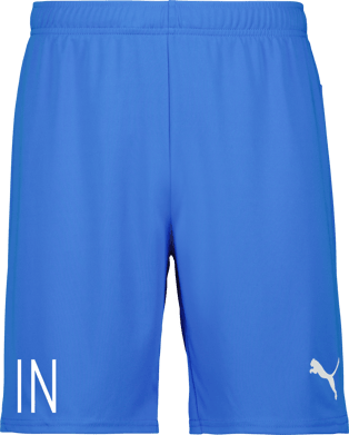 Puma teamGOAL Shorts Jr 