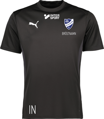 Puma teamGOAL Jersey 