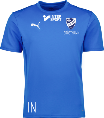 Puma teamGOAL Jersey Jr 