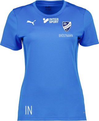 Puma teamGOAL Jersey W 