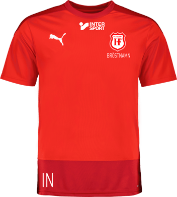 Puma teamGOAL 23 Training Jersey