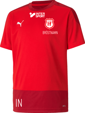 Puma teamGOAL 23 Training Jersey Jr